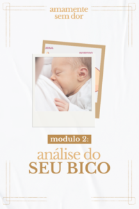 modulo 2_ análise do seu bico